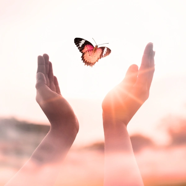 1 inicio beneficios2