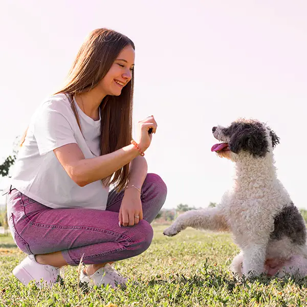 1 inicio beneficios4